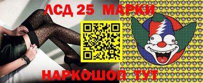 стафф Гатчина