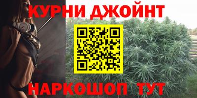 стафф Гатчина