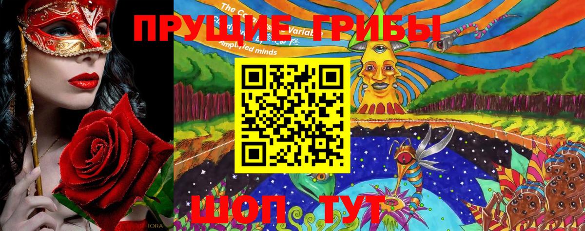Псилоцибиновые грибы GOLDEN TEACHER Приморско-Ахтарск
