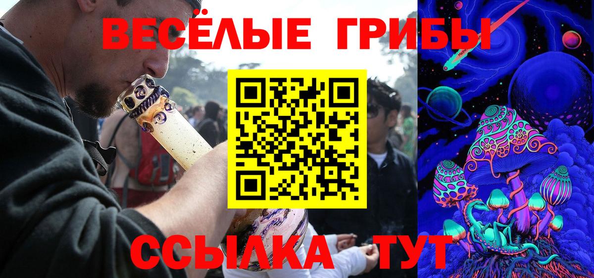 Галлюциногенные грибы мухоморы Приморско-Ахтарск