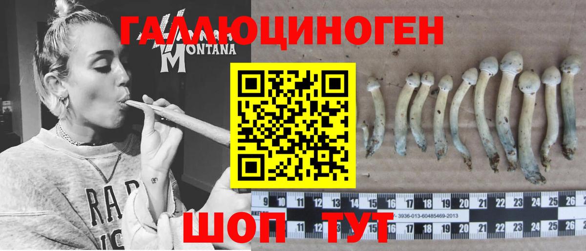 Приморско-Ахтарск  Галлюциногенные грибы GOLDEN TEACHER  Вход с VPN 